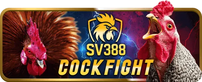 Sự kiện và giải đấu thường niên tại 7clubs